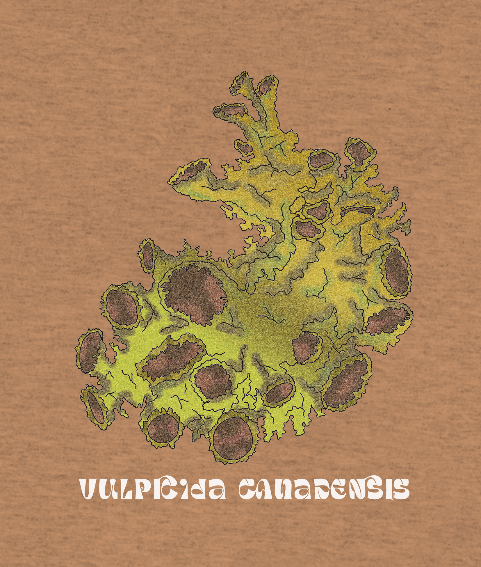 T-shirt fungus lichen Vulpicida canadensis
