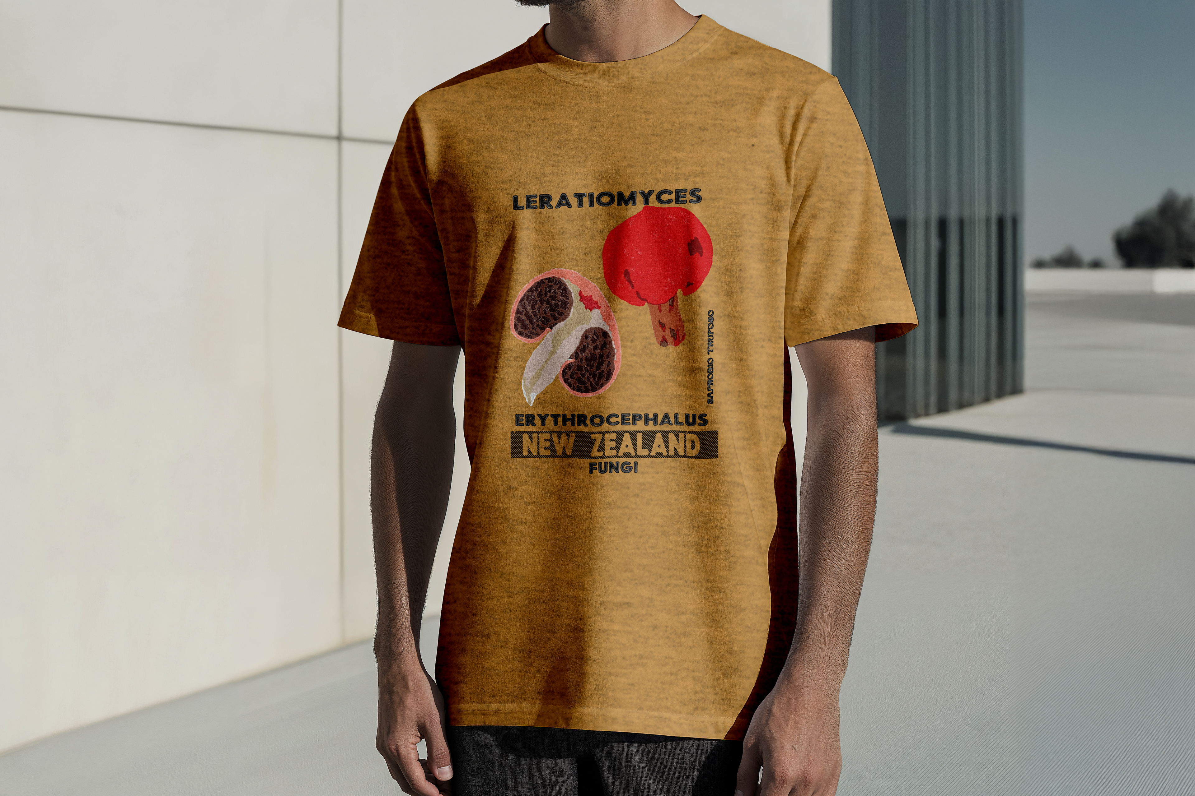 T-shirt fungus Leratiomyces erythrocephalus
