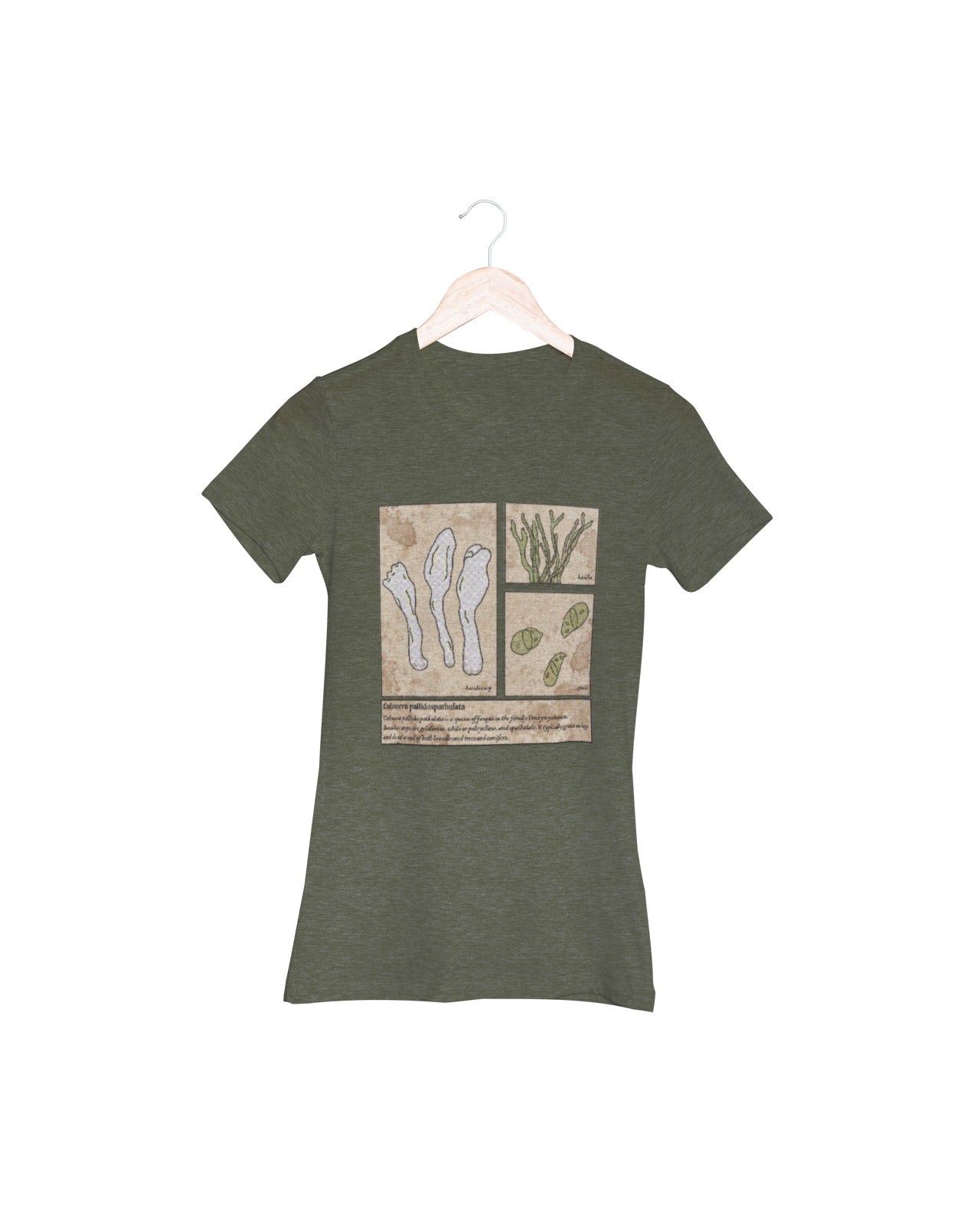 Playera hongo gelatinoso Calocera pallidospathulata dama