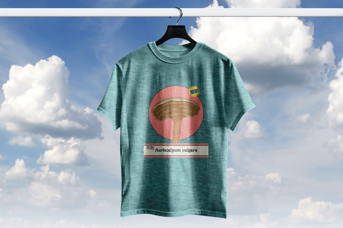Playera hongo Auriscalpum vulgare