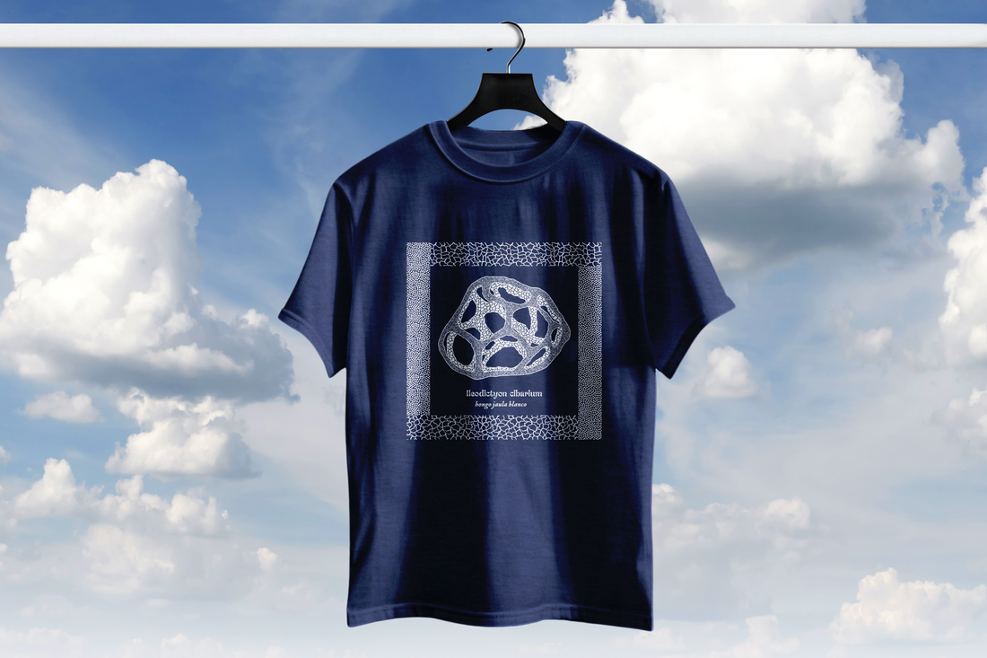 Playera hongo Ileodictyon cibarium hongo jaula blanca