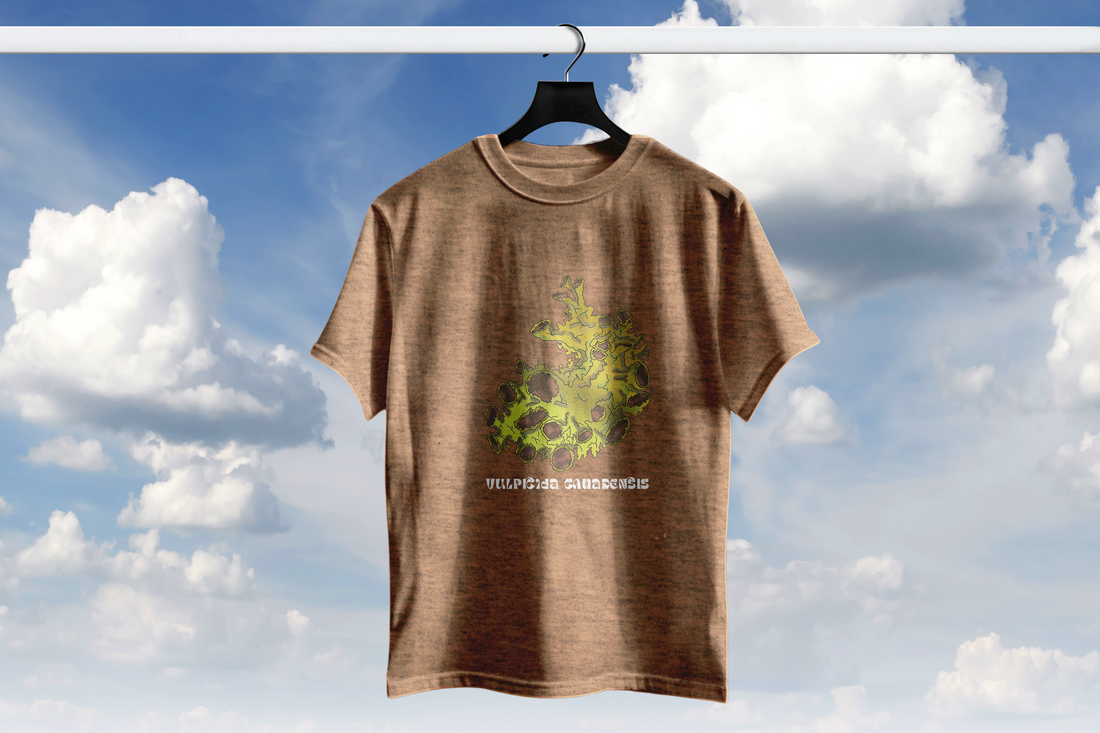 T-shirt fungus lichen Vulpicida canadensis