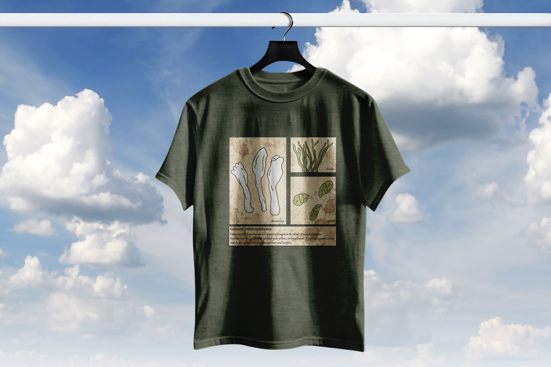 Playera hongo gelatinoso Calocera pallidospathulata