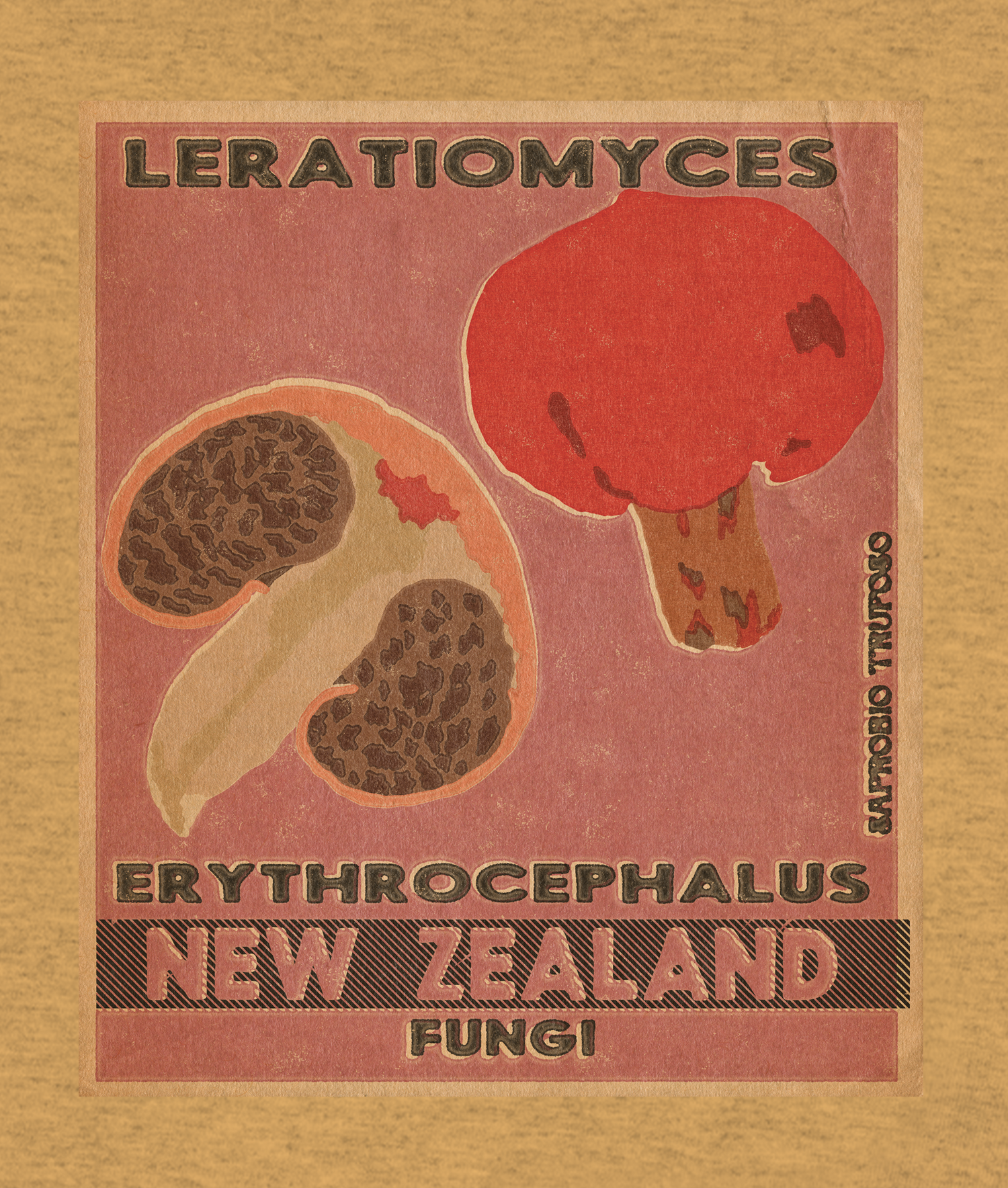 Playera hongo Leratiomyces erythrocephalus
