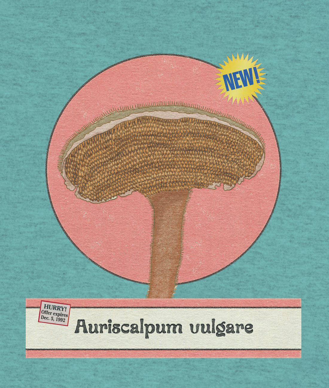 Playera hongo Auriscalpum vulgare