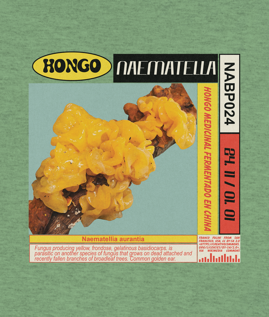 Playera hongo gelatinoso Naematella aurantia