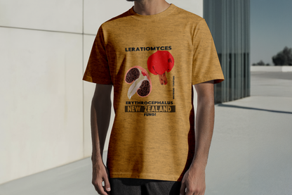 T-shirt fungus Leratiomyces erythrocephalus