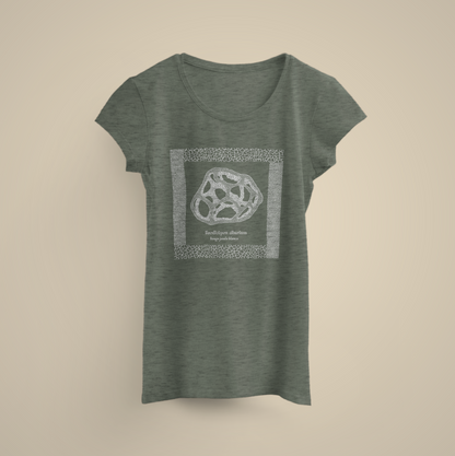 T-shirt fungus Ileodictyon cibarium white cage fungus