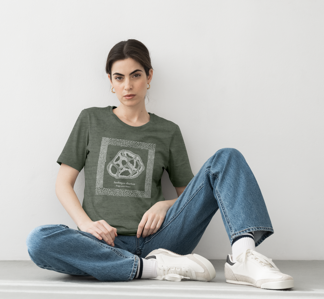 T-shirt fungus Ileodictyon cibarium white cage fungus